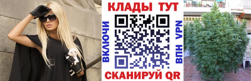 Виды наркоты Ивантеевка Галлюциногенные грибы МАРИХУАНА А ПВП