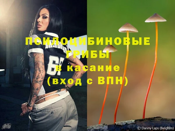 мдма Заволжск