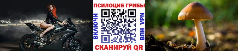 Галлюциногенные грибы мухоморы  Ивантеевка 